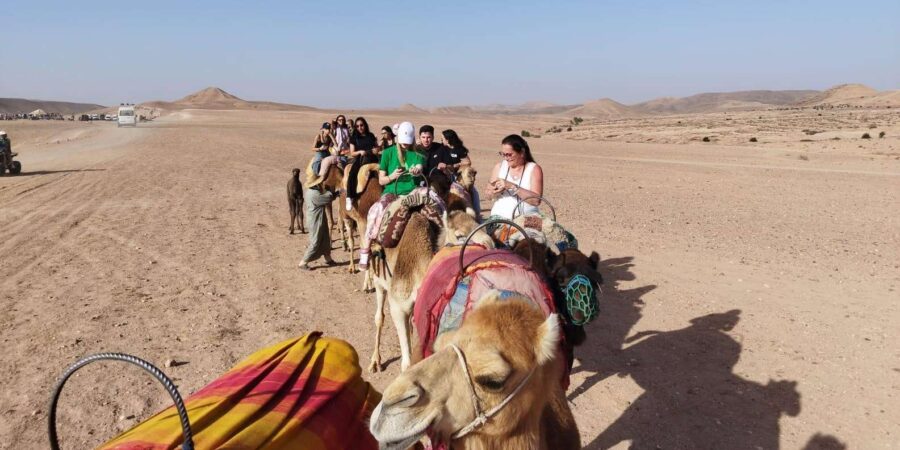 Day Trip to Imlil Valley With Camel Ride in Agafay Desert
