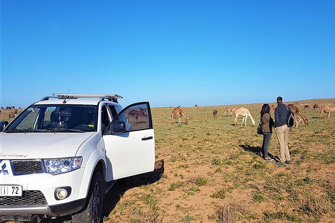 Day Trip to Mini Sahara