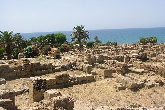 Day Trip to the Acropolis of Selinunte From Trapani - Itinerary and Schedule
