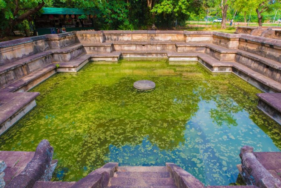 Day Trip to the Ancient City of Polonnaruwa From Negombo