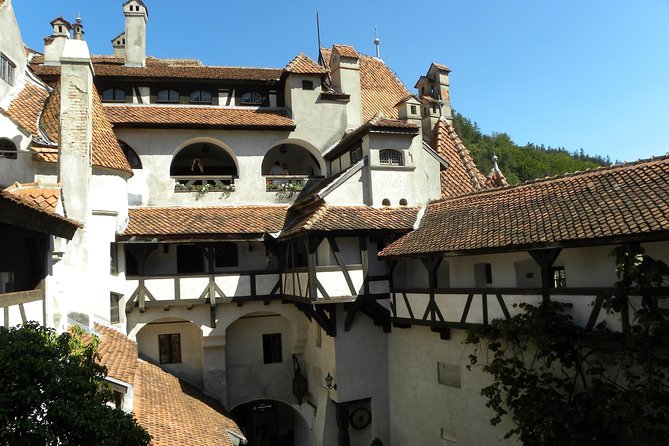 Daytour to Bran “Dracula’S” Castle + Peles Castle + Wine Tasting at Azuga Cellar