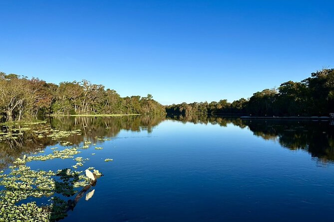 DeLeon Springs River Boat Tour Review