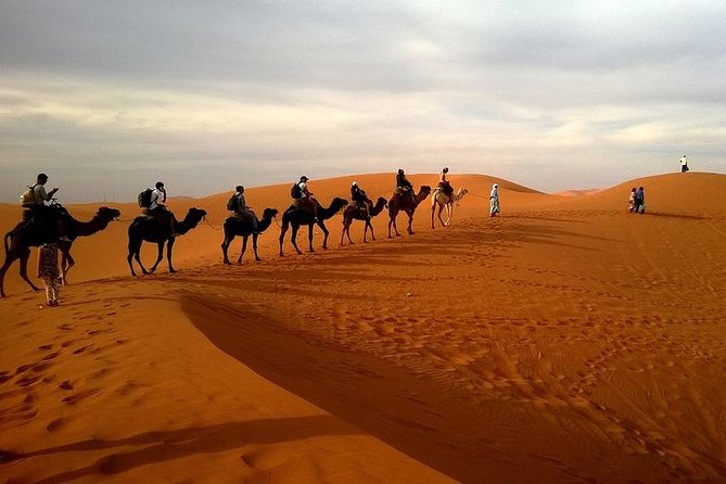 Desert Safari With Dinner 4WD