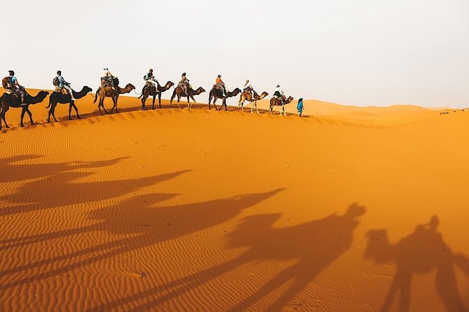 Dessert Tour From Marrakech 4d/3n