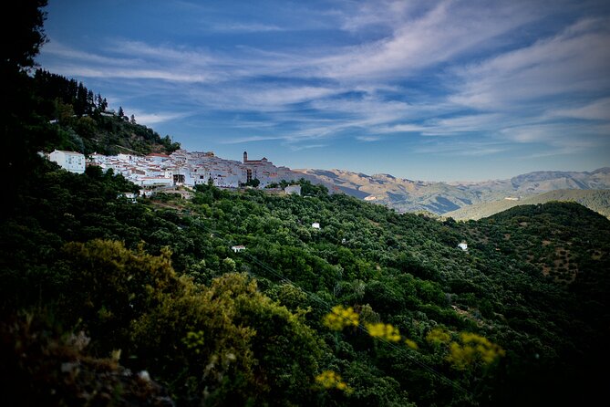 Dining Experience in the Mountains & Discovering of Andalusia - Features of the Experience