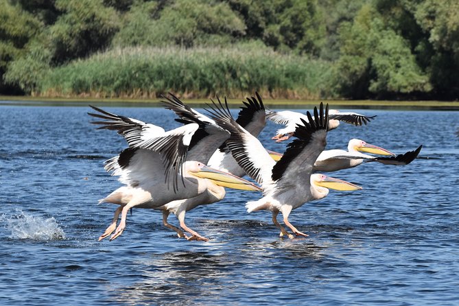 Discover Danube Delta From Bucharest – Private Tour for 5 Days