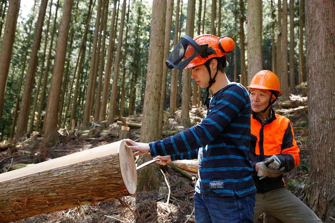 Discover Foresters Life Tour (1-Day) - Tour Overview