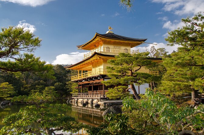 Discover Kyoto With a Customized Private Car Tour - Explore the Enchanting Monkey Park Iwatayama