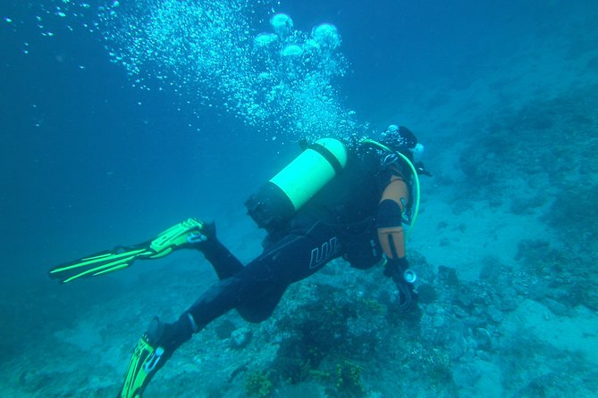 Discover Scuba Diving
