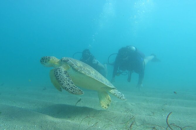 Discover Scuba Diving for Beginners in San Juan