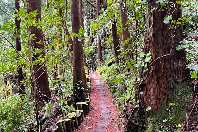 Discover the Hidden Gems of São Miguel – Full Day Private Tour