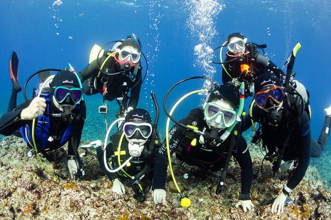 Diving in Kansai, Japan for License Holders
