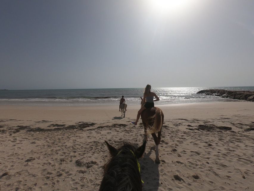 Djerba: 2-Hour Lagoon Horse Riding Experience - Experience Highlights