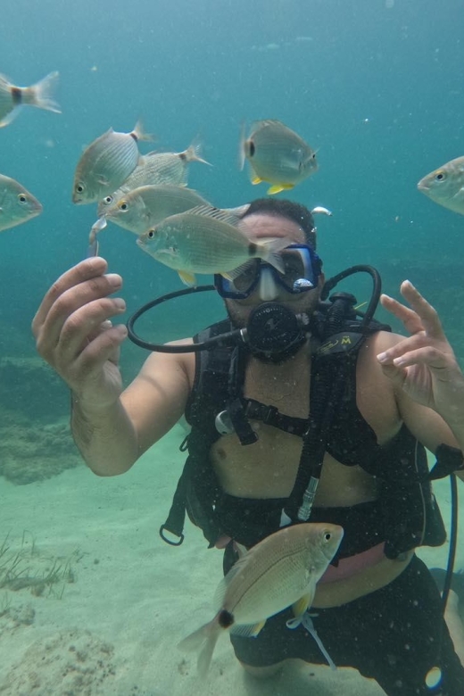 Djerba: Introductory Scuba Diving Session - Activity Overview