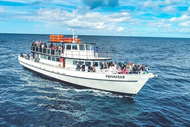 Dolphin and Whale Watching Sunset Cruise - Meeting and Pickup Details