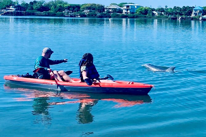 Dolphin, Manatee and Sea Turtle Kayak Adventure - Tour Overview