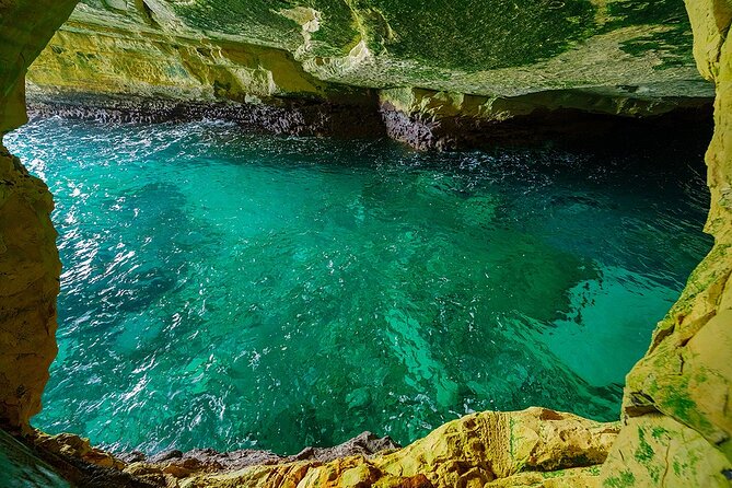 Dolphin, Sea Cave, Captain Cook, Kealakekua Bay Reef Snorkeling - Itinerary and Meeting Details