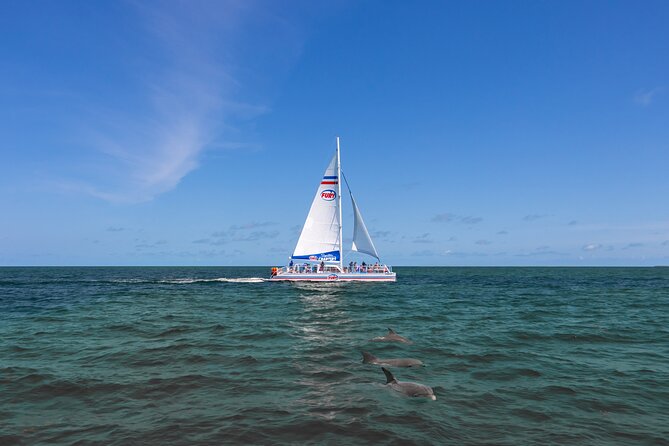 Dolphin Watch & Historical Harbor Tour in St. Augustine - Tour Overview