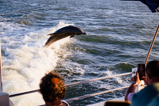 Dolphin Wildlife Cruise Fort Myers Beach - Overview and Details