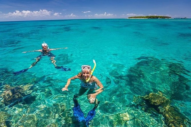 Dolphins and Snorkeling at Mnemba Island Reef – Snacks Included