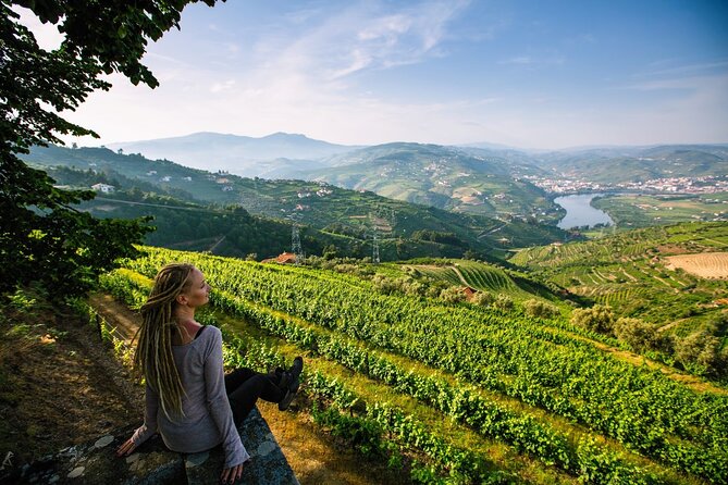 Douro Valley Delights Wine Tasting and Scenic Vistas