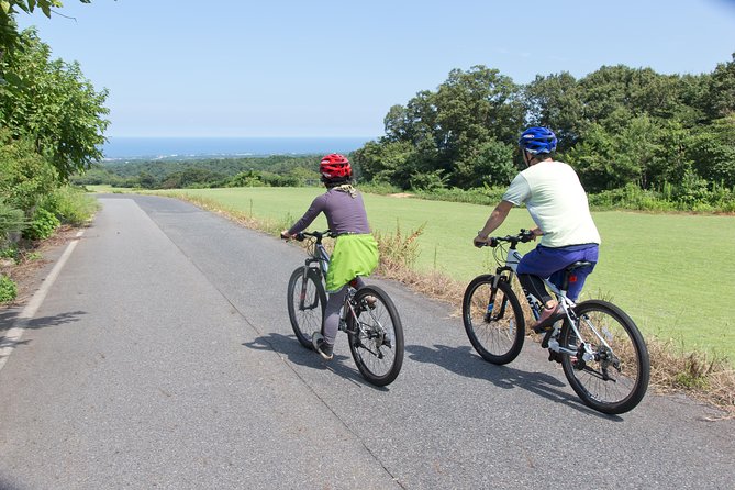 Downhill Biking