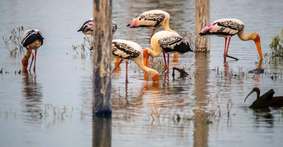 Drop Agra From Delhi See Fasthpur Sikri, Bharatpur Bird Park