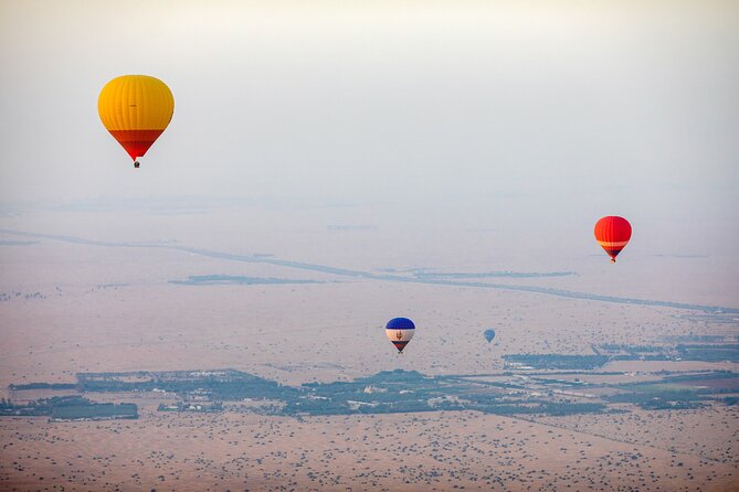 Dubai Hot Air Balloon With Breakfast Camel Ride & Falcon Show - Experience the Hot Air Balloon