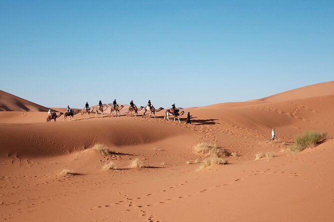 Dubai Morning Quad Bike, Sand Boarding and Camel Ride - Overview of the Experience