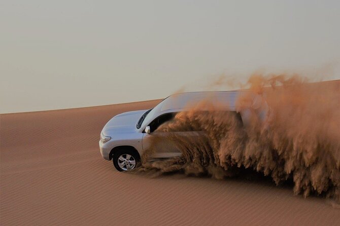 Dubai Red Dunes Morning Safari With Camel Ride - Overview of the Safari