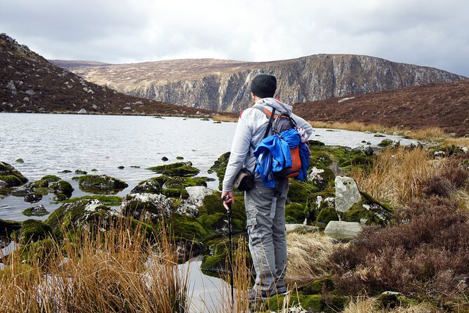 Dublin to County Wicklow & Glendalough Private Day Trip by Car - Inclusions