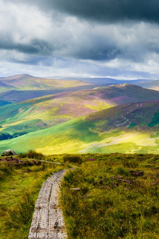 Dublin to County Wicklow & Glendalough Private Trip by Car