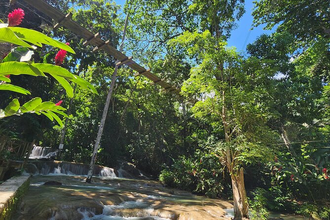 Dunn’S River Falls and Shopping From Montego Bay