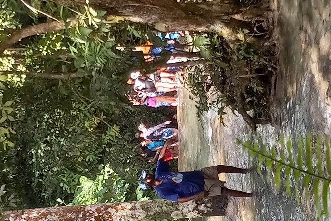 Dunns River Falls From Falmouth