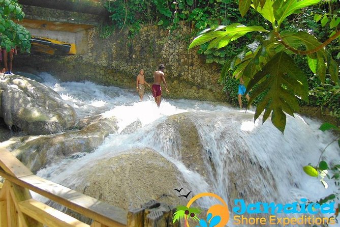 Dunns River Falls & Ocho Rios City Tour - Tour Highlights