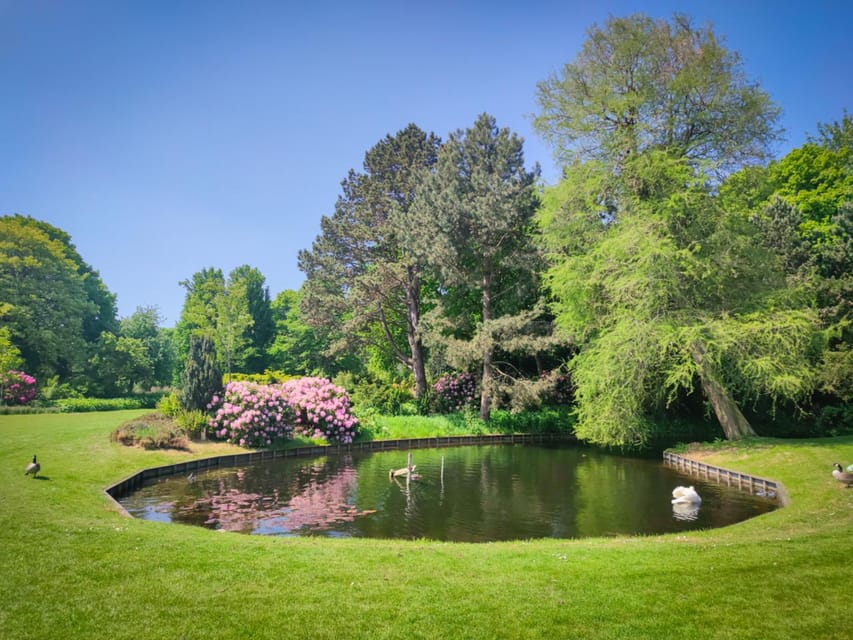 Dutch Delights: A Family Journey Through The Hague