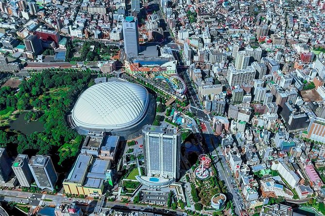 【75 Mins】 Tokyo-Mt.Fuji Tour: Mt. Fuji Helicopter Tour