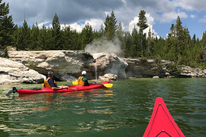 Early Morning Guided Kayak Tour - Wildlife and Experience