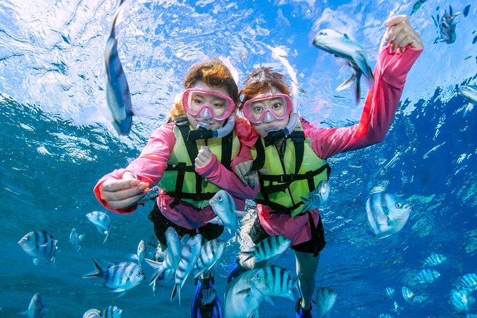 Easily Set Sail by Boat! / Blue Cave Snorkel - Health and Safety Guidelines