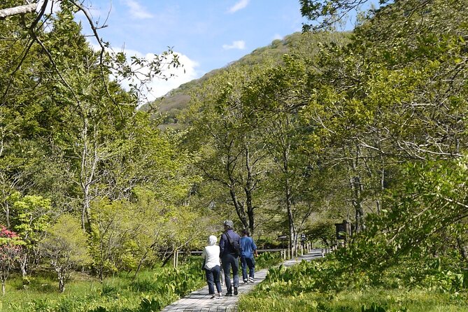 Easygoing Nature Walk in Hakone Tour - Discovering the Atmospheric Tea Houses