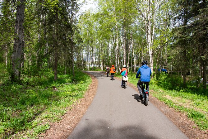 Ebike Art and Trails Guided Tour Review
