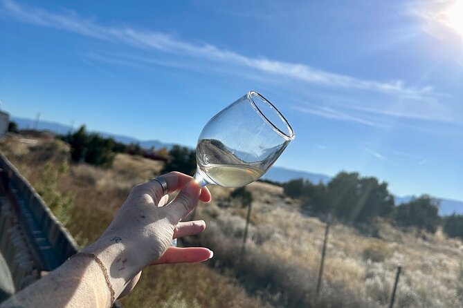 EBIKE Winery Tour in Penrose, Colorado: Penrose Uncorked - Exploring the Bugling Elk Winery
