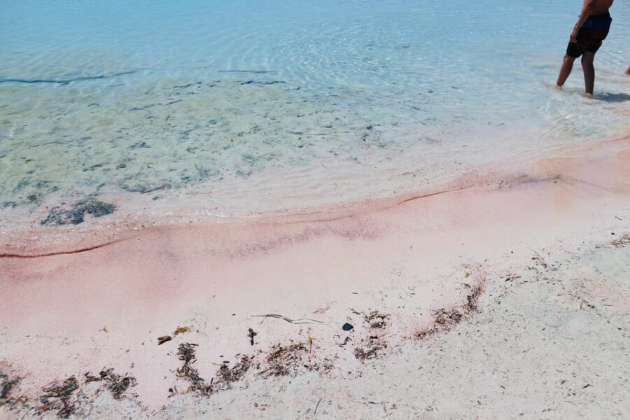 Elafonisi Road Trip – Be First at Beach!