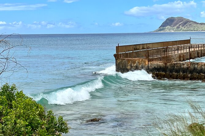 Electric Beach Snorkeling With Dolphins Tour - Meeting and Pickup Details