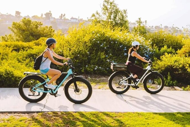 Electric Bike Rentals Review: A Perfect Ride