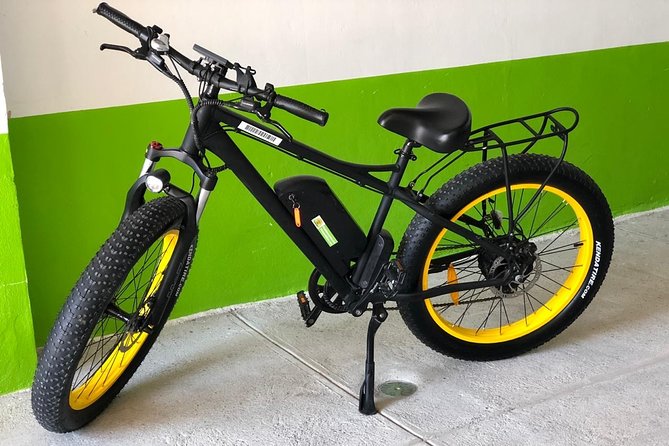Electric Bikes Per Day