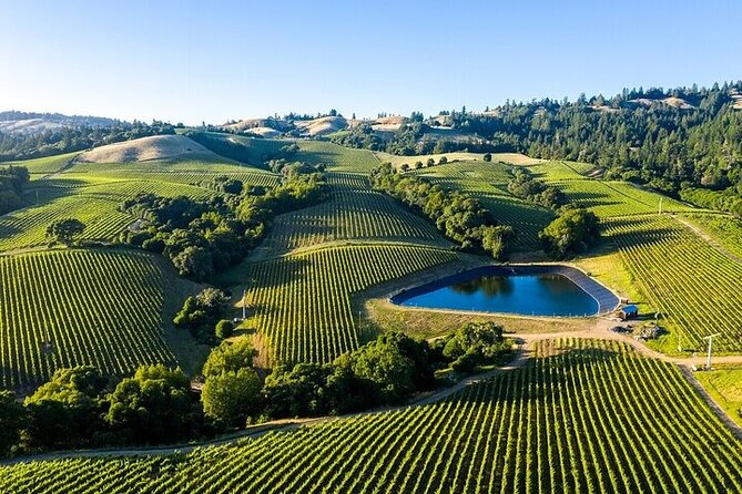 Enchanted Napa & Sonoma Wine Tour Review