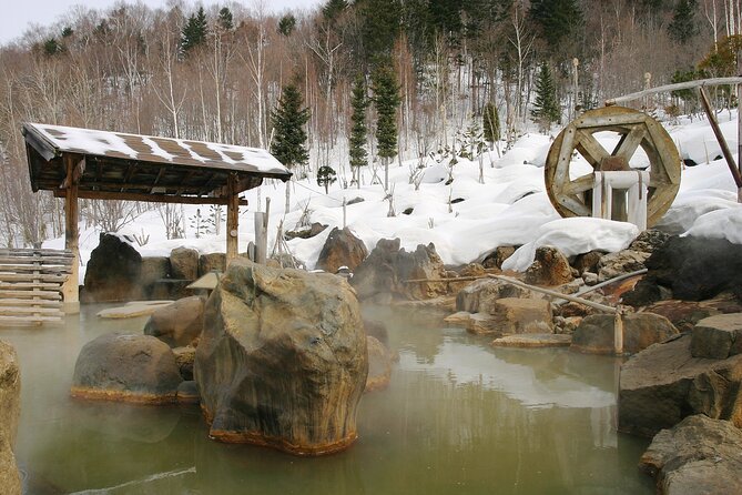 Enjoy Snow-Covered Hot Springs With Private Transport