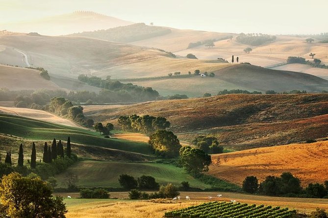 Enjoytuscany Livorno Port to Bolgheri and Etruscan Castle