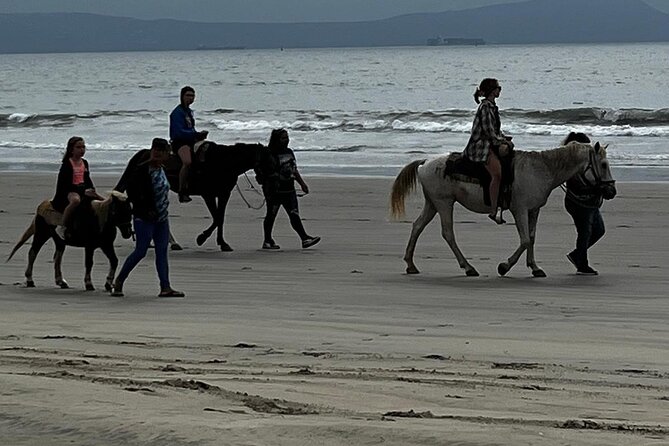 Ensenada City Tour on Ford T Replica and Beach Horse Back Riding